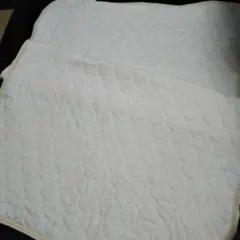 Item thumbnail for item 30511ff4-87fc-40bd-87ba-b23f94dc7922