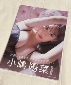 小嶋陽菜　写真集　かもしれない シュリンク付き 未開封