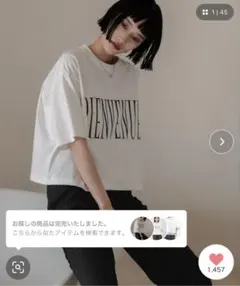 LOWRYS FARM ショートロゴＰＴＳＳのサムネイル