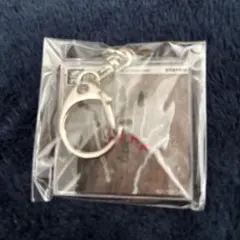 ジャンボ・ジャパン オリジナルアクリルキーホルダー(横5センチ×縦5センチ)