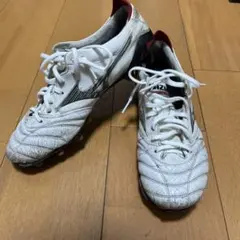 Item thumbnail for item 8fe1c6e0-f377-4a32-b1df-3ced45cca322