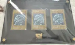 た*し様 海馬セット　シクブル