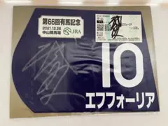 エフフォーリア　2021年有馬記念　ミニゼッケン　現地的中単勝馬券　競馬　ウマ娘