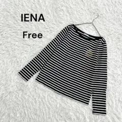 【イエナ】F 美品　長袖カットソー　ボーダー　カジュアル　ホワイト　ブラック