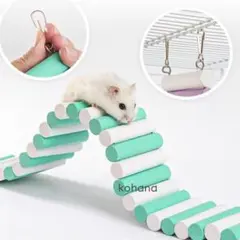 Item thumbnail for item 95f5cdfb-0015-4be1-aad1-ea007c174654