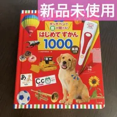 ★早い者勝ち！　【送料込み／即日発送】はじめてずかん1000 図鑑のみ