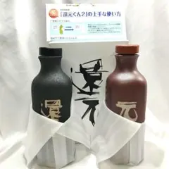 未使用保管品 還元くん2 2本セット 低電位水素茶製造ボトル株式会社 