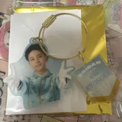 EBiDAN ICEx 八神遼介 アクキー