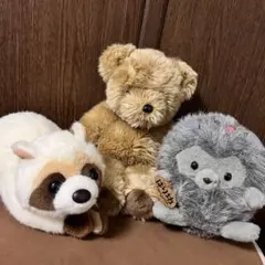 ファースト 年代物 ぬいぐるみ アライグマ べべ テディベア ハリネズミ はり坊 2025年最新】ファースト社アライグマの人気アイテム - メルカリ