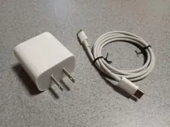 Apple 純正 20W 急速充電器 ライトニング-タイプCケーブルセット