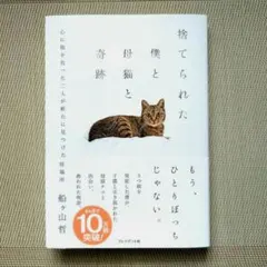 捨てられた僕と母猫と奇跡 : 心に傷を負った二人が新たに見つけた居場所
