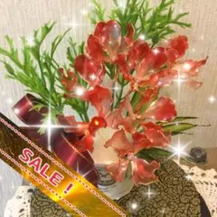 SALE！　風水の花　赤