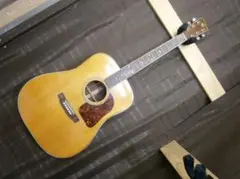30周年モデル 縦ロゴ Morris モーリス TF-50SP ジャパン ギター - メルカリ