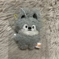 ウルフチャン アイドル