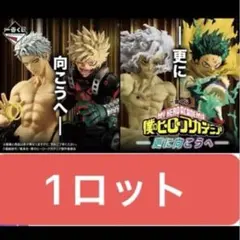 一番くじ ヒロアカ 更に向こうへ 1ロット 僕のヒーローアカデミア