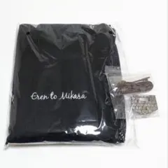 進撃の巨人　画集　FLY　ミカサ　エレン　マフラー　南京錠