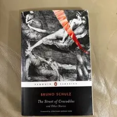 Bruno Schulz The Street of Crocodiles