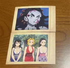 鬼滅の刃 ぱしゃこれ 其ノ肆 2枚セット 堕姫＆須磨・まきを・雛鶴