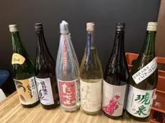 Item thumbnail for item ff3719db-3abb-4f26-afea-32289ee01ffd