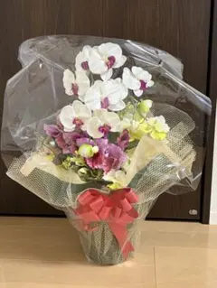 Item thumbnail for item 7a5bdc7f-1c5e-46f8-bbc9-10ea1d438864