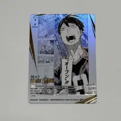 ハイキュー!! バボカ　【頂P】影山飛雄