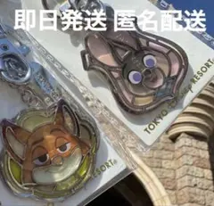 ディズニーランド ガラスの靴 ズートピア ニック ジュディ キーホルダー