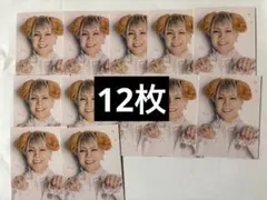 佐々木大光　Myojo 厚紙 わんにゃんカード 12枚