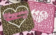 評価3000記念SALE‼️KOGYARU☆ハンドタオル☆セット