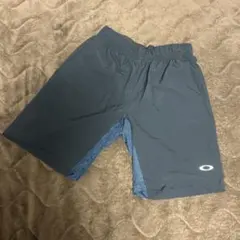 Item thumbnail for item 7fa5ae8f-8d5d-4d59-9039-4afd92bda595