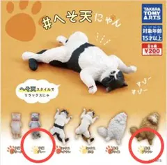 野生を忘れた猫フィギュア #へそ天にゃん 子猫グレー 長毛ブラウン