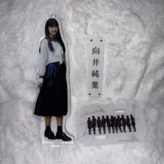櫻坂46 向井純葉　アクリルスタンド　おもてなし会　夏の近道 櫻坂46 向井純葉 アクリルスタンド おもてなし会 夏の近道 - メルカリ