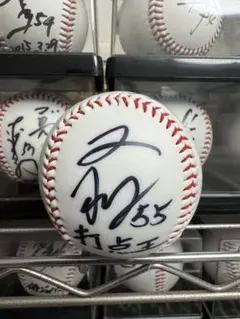 2025年最新】野村大樹 サインの人気アイテム - メルカリ