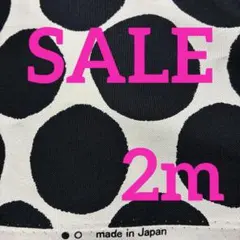 オックス生地　ドット柄