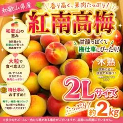 和歌山県産 完熟南高梅‼️L〜M混合‼️4kg みかんキング 家庭用 - メルカリ