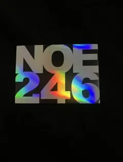 NOE246 ステッカー ホログラム　7枚セット　グラフィティ 2026年最新】NOE246の人気アイテム - メルカリ