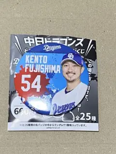 中日ドラゴンズ どらポジ応援！缶バッジくじ 缶バッジ 藤嶋健人 選手