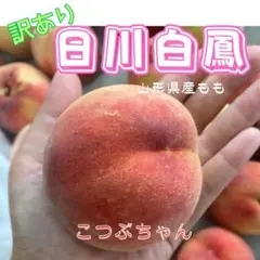 あらかわの桃☆土曜日限定価格！☆日川白鳳15個☆農家直送☆送料込みお
