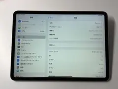 iPad Pro 11インチ 1世代 1TB / Wi-Fi Cellular