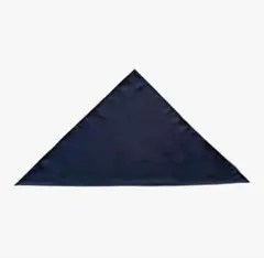 Item thumbnail for item 6d02adc4-82ae-4ca7-a749-c966b2dd875e