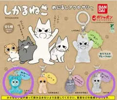 【新品・未開封】しかるねこめじるしアクセサリー 2種セット