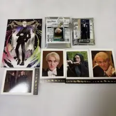 ハリーポッター セブルス・スネイプ ぱしゃこれ フィルム風