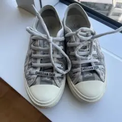 Christian Dior グレー スニーカー　36サイズのサムネイル