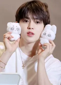 SEVENTEEN セブチ ジョンハン ドール 10cm マスター