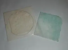 Item thumbnail for item bcade02f-1b73-42d1-8812-64ea98c934de