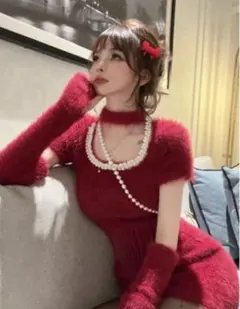 セットアップ レッド