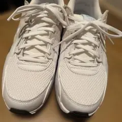 Item thumbnail for item b24595ce-0e94-4195-9f7d-86f4d01c44f5