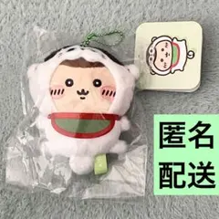 ちいかわもぐもぐ本舗　川越　犬張り子になっちゃった マスコット　くりまんじゅう