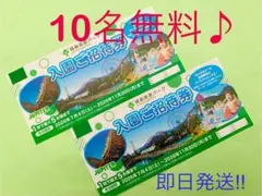 【即日発送】城島高原パーク★入園無料券★10名まで無料♪m2-50のサムネイル