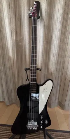 Epiphone Thunderbird 【カスタム多数】サンダーバード　ベースのサムネイル