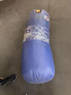 Item thumbnail for item f7667fa0-21b3-4e28-825d-c6816499830d